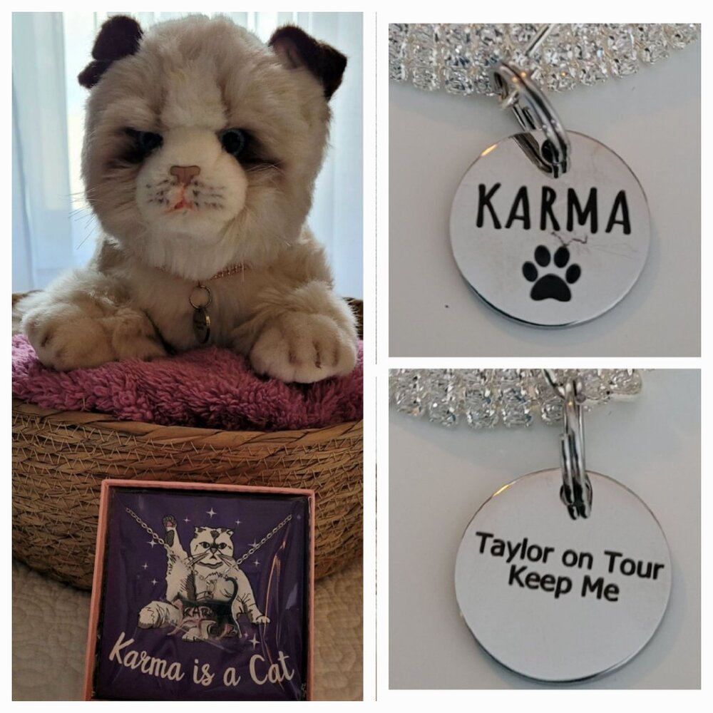Taylor Swift " Cat Lady" inspired "KARMA" Realistic Plush Cat Gift Basket Bundle